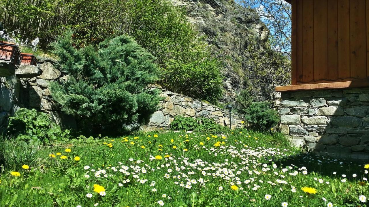 Il Rifugio Della Volpe Apartment Introd Luaran gambar